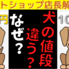 【衝撃】ペットショップで犬の値段が違う理由はこれだ！【ペットショップ店長解説】