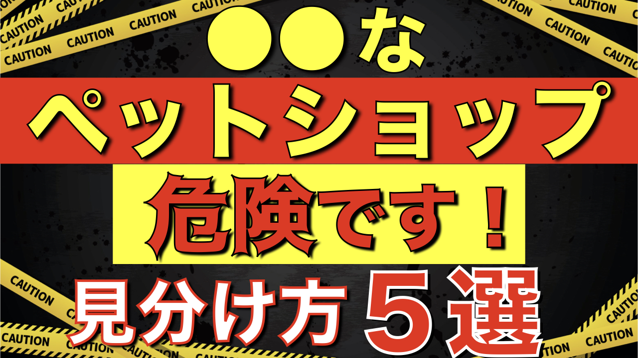 【ペットショップに行く前に見て！】こんなペットショップから犬を買ってはいけない！見分け方5選