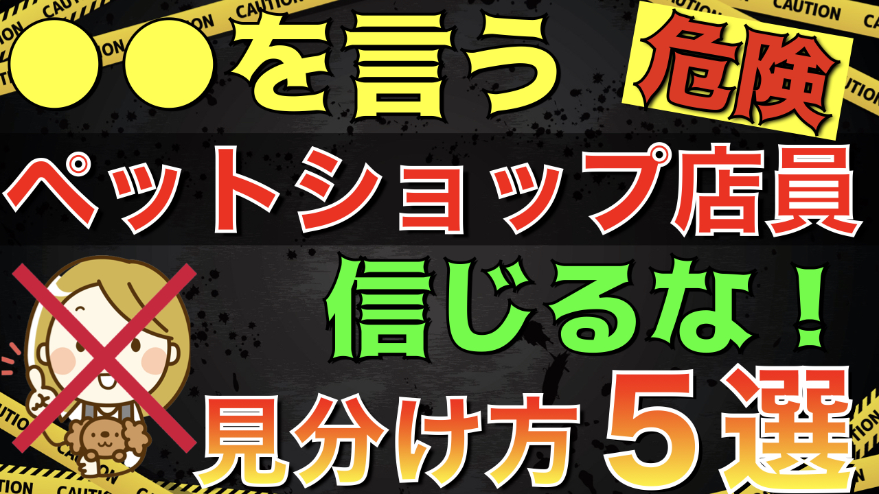 こんなペットショップ店員から犬を買うのは危険！騙されない見分け方5選