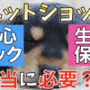 【ペットショップで犬を飼うなら知っておくべき】犬を買うときの安心パック・生命保証は本当に必要なの？