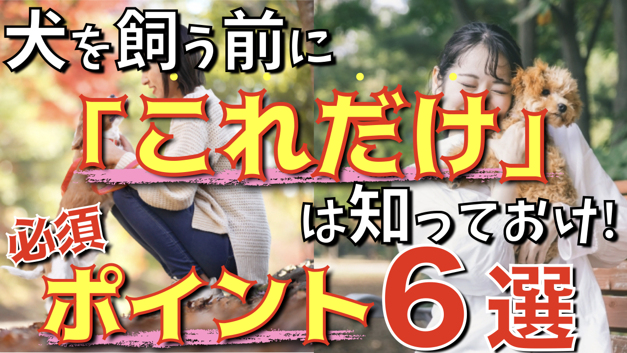 【あなたは大丈夫？】犬を飼う前に「これだけ」は知っておいて欲しいポイント6選