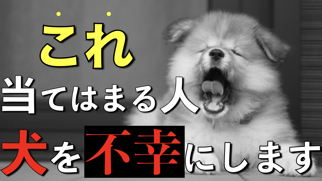 【注意喚起】犬を不幸にする飼い主に当てはまる特徴5選をペットショップ店長が解説！