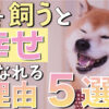 【これから犬を飼う人必見】犬を飼うと生活が幸せになる理由5選を現役ペットショップ店長が解説！