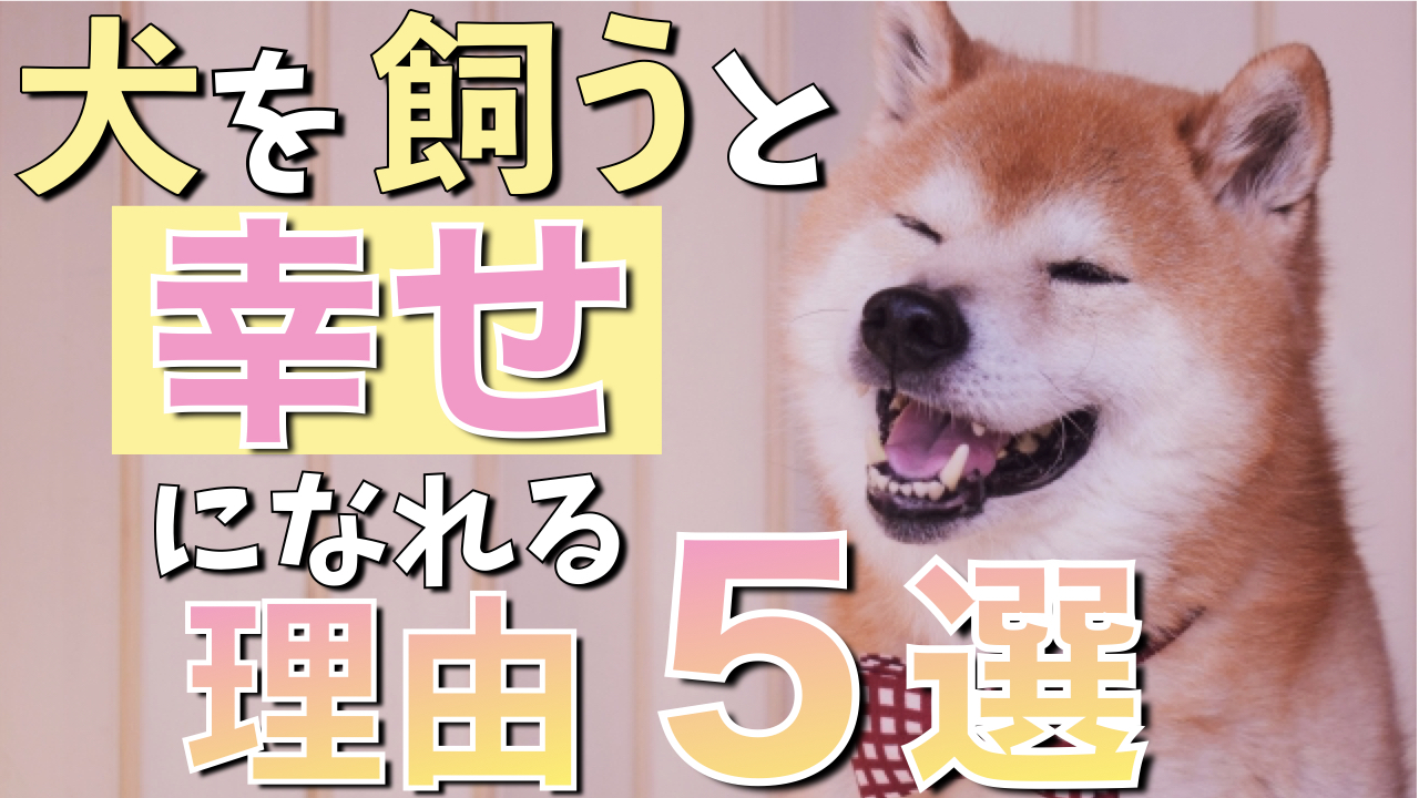 【これから犬を飼う人必見】犬を飼うと生活が幸せになる理由5選を現役ペットショップ店長が解説！ 