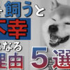 犬を飼うと生活が不幸になる理由5選を現役ペットショップ店長が解説！