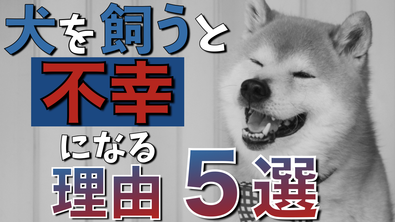 犬を飼うと生活が不幸になる理由5選を現役ペットショップ店長が解説！ 