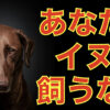 【プロが本音で語る】イヌを飼うのはヤメた方がいい人の特徴5選