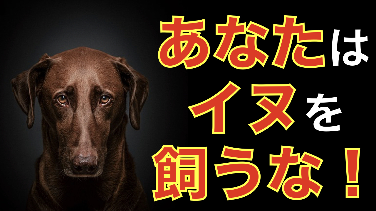 【プロが本音で語る】イヌを飼うのはヤメた方がいい人の特徴5選